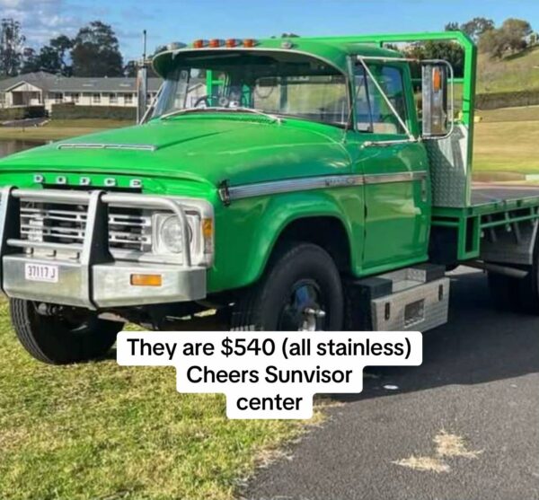 WhatsApp Image 2025-11-30 at 05.03.49_5da80eef Dodge Truck D5N /AT4 Sun Visor