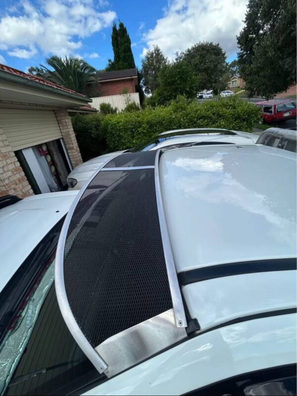Isuzu D-Max Sunvisor